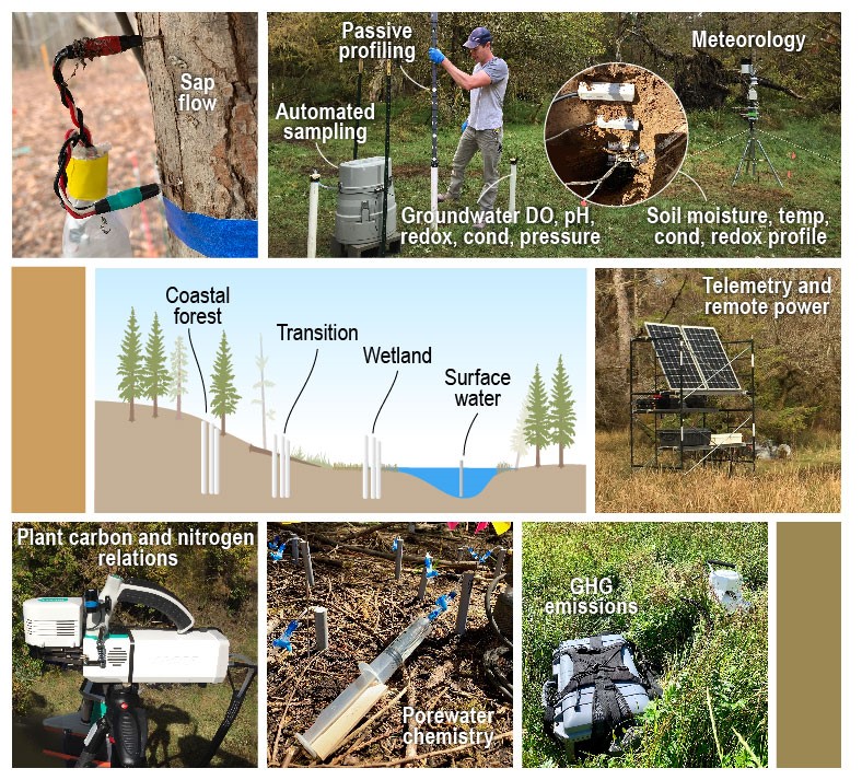 Collage depicting FME experiment types