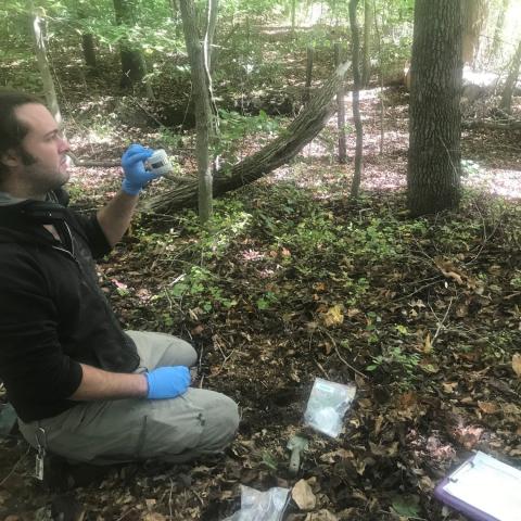Researcher examining a sample in a wooded setting