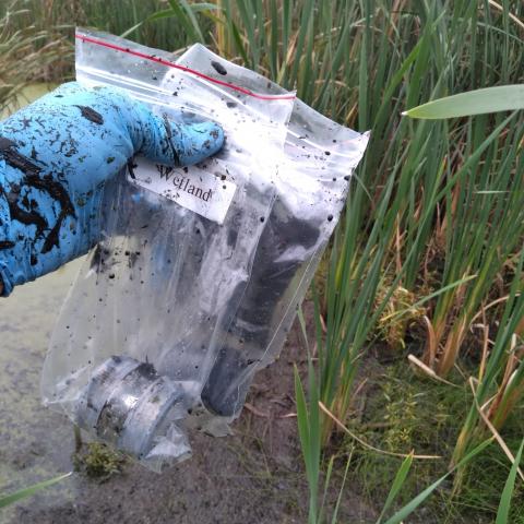 Gloved hand holding clear sample bags in muddy conditions
