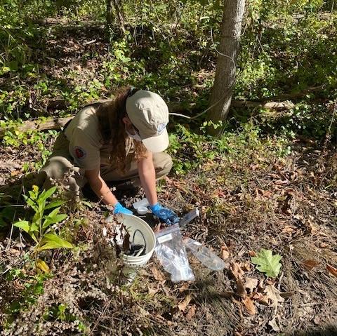 Researcher working with samples in an upland area at Old Woman Creek sampling site